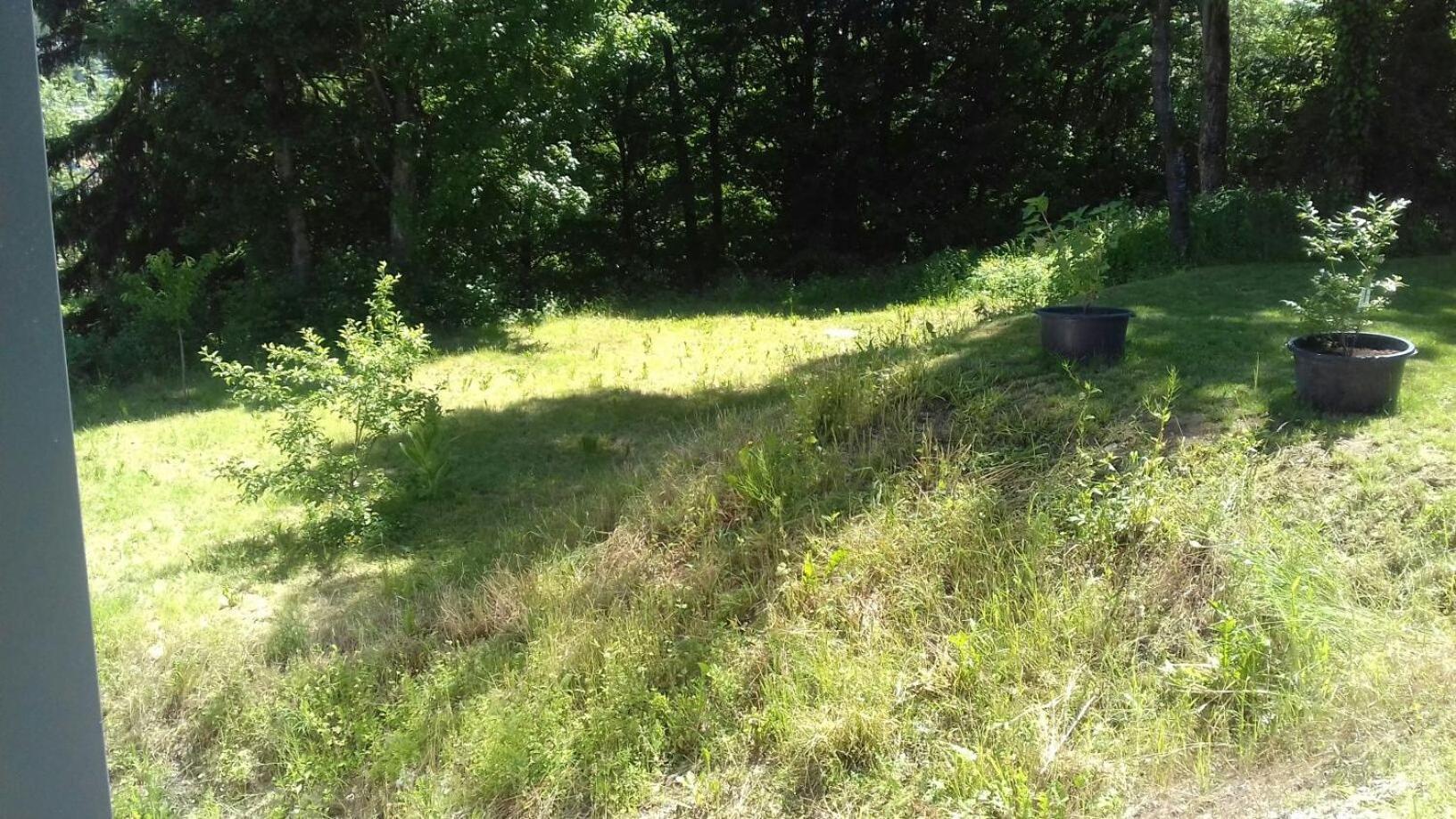 Ferienwohnung Ameis Heiligenstadt in Oberfranken Exteriör bild